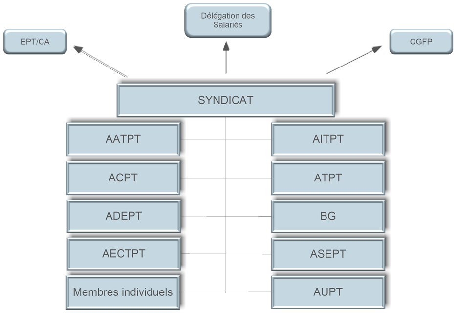 organisation